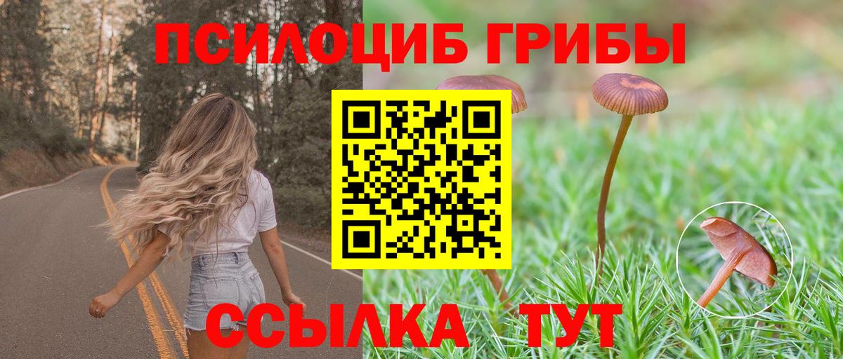 Галлюциногенные грибы прущие грибы  Псилоцибиновые грибы Cubensis  Вход с VPN  Серпухов 
